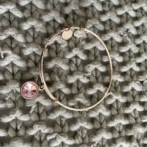 Alex and Ani Birthstone Bangle